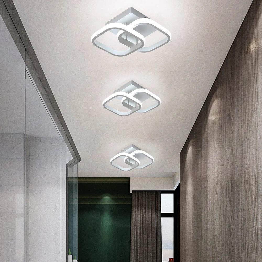 Modern Acrylic Led Ceiling Lamp