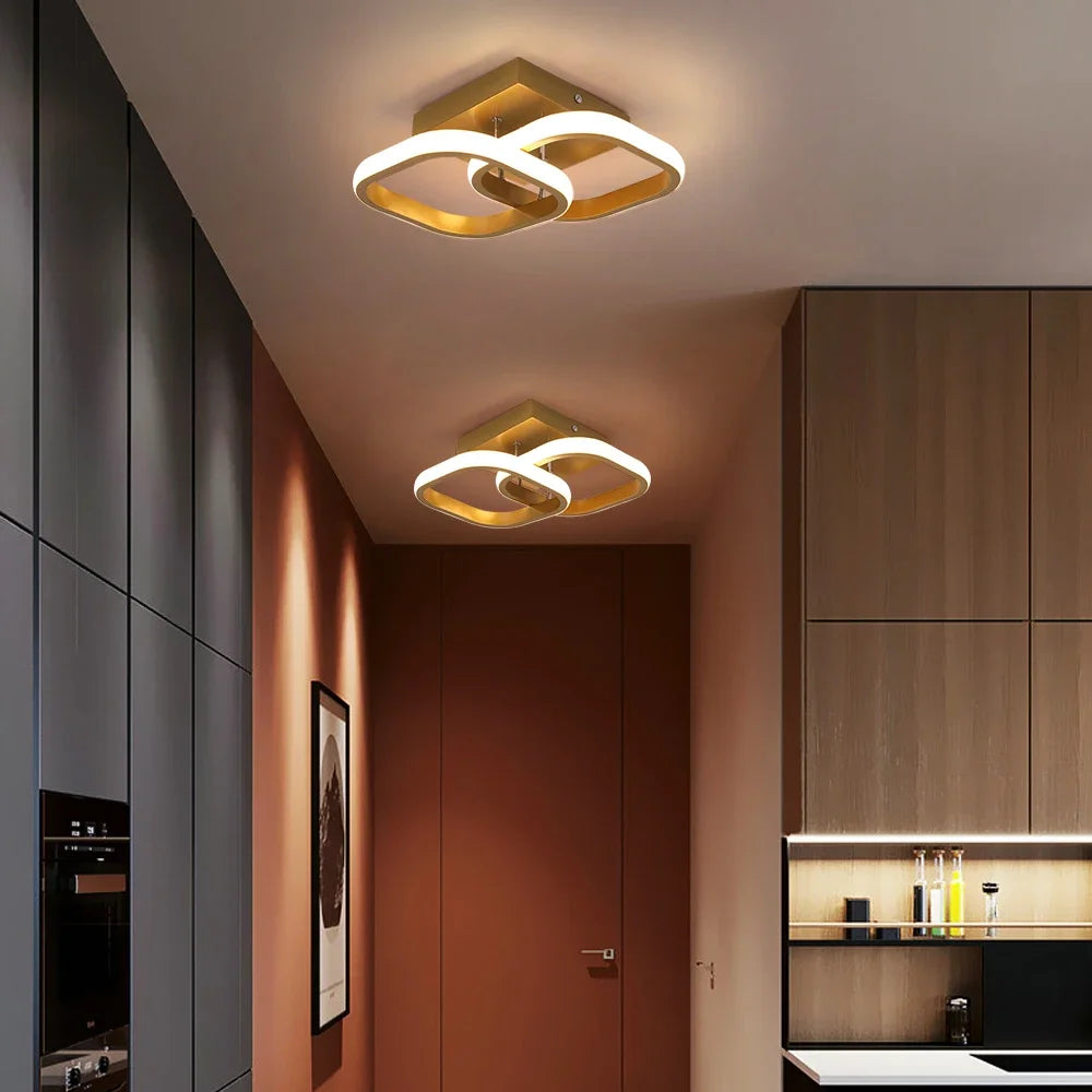 Modern Acrylic Led Ceiling Lamp