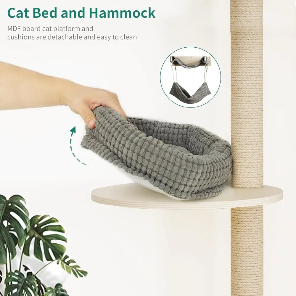 Cat Hammock Wall Design