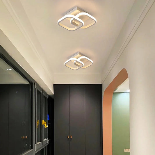 Modern Acrylic Led Ceiling Lamp