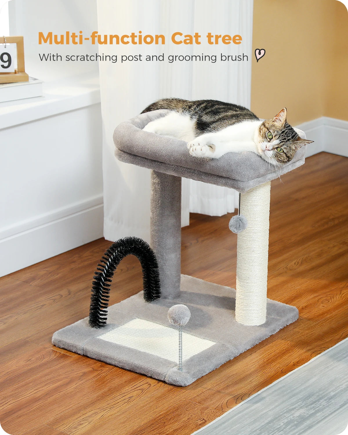 Cat Bed Scratcher Self-Grooming Brush